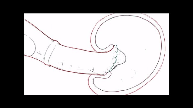 Kameri-kun collection