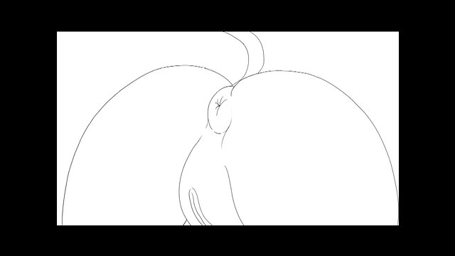 Kameri-kun collection