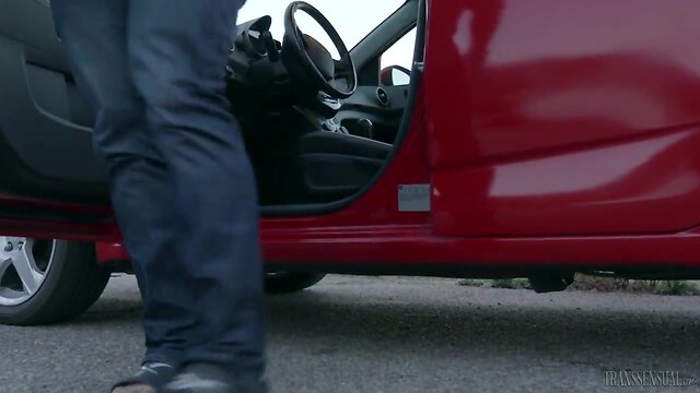 Tgirl beauty venus lux