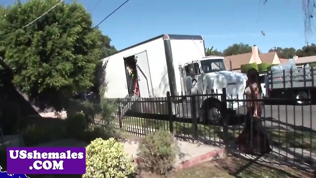 A Busty Trans Babe in Glasses Gives a Closeup Performance - Anal, Assfucking, Cocksucking!