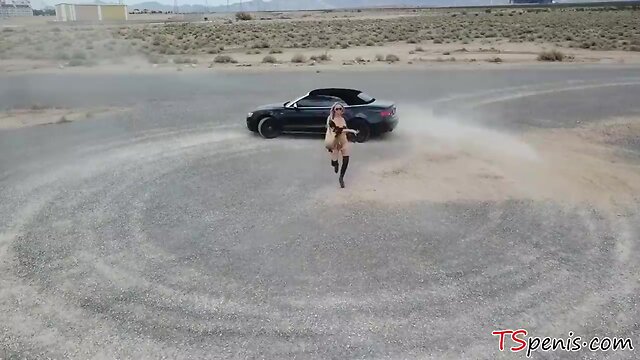 Transbabe aubrey kate loves anal