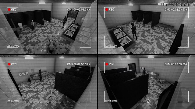 Subway  bathroom sexurity webcam - record #4