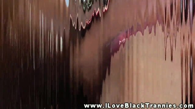 Black ebony she-male tranny giving cocksucking