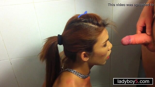 Transvestite with large juggs pissed in her mouth and a cocksucking