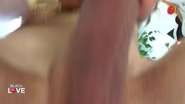 3 admiring ladyboys seduce lucky guy