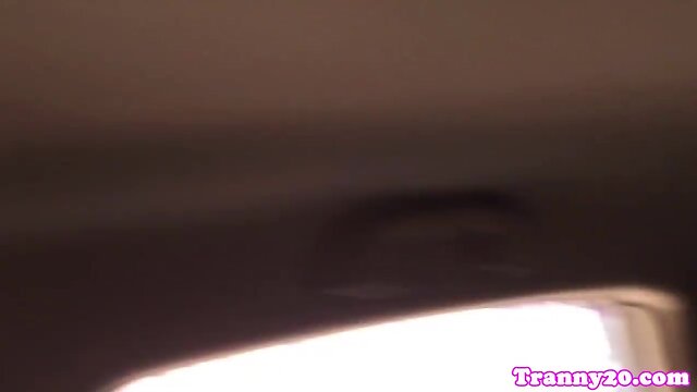 Transvestite analfucked before titfucking