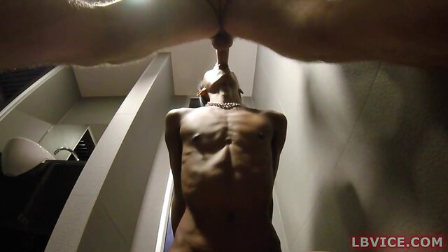 Tv cat pissing and cocksucking