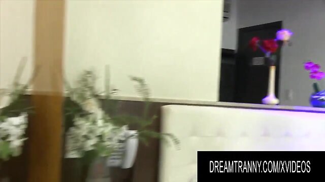 Dream t-girl - tbabes barebacking guys collection part 7