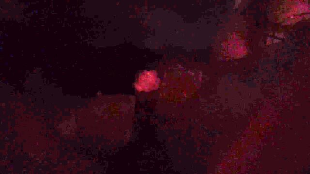 I love love prick in my mouth soooo much