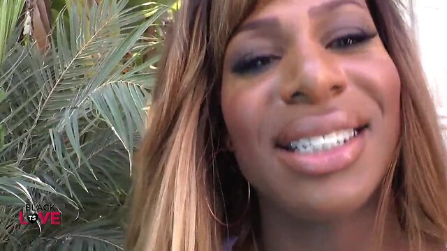 Obey your ladyboy mistress!