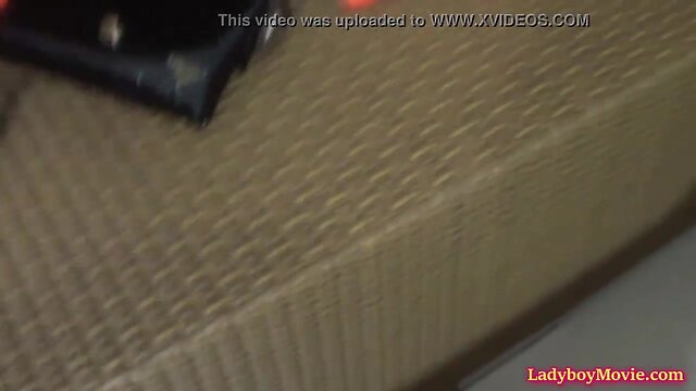 Guy fucks amateurish transsexual kitty