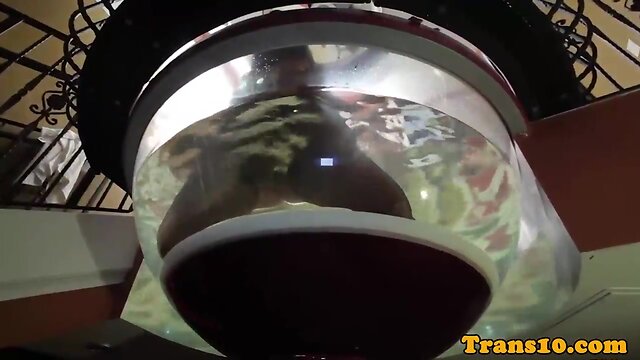 Vanity T. Star: Big Tits, Booty, & Fishnets Tugging & Jerking Off!