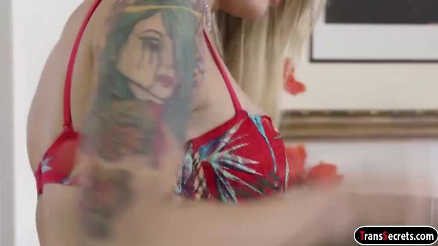 Large breast transsexual aubrey kate sucks a dick and gets doggystyled