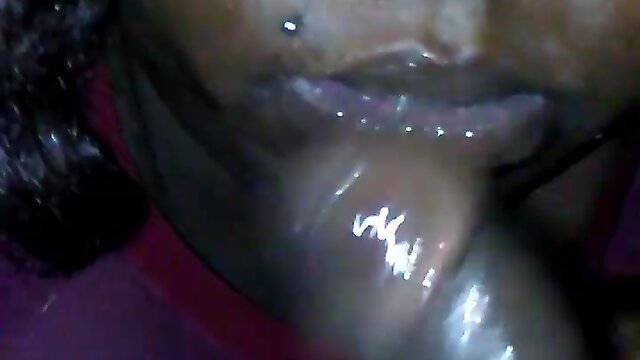 A Sloppy Ride of Passionate Pleasure: Shamele Video