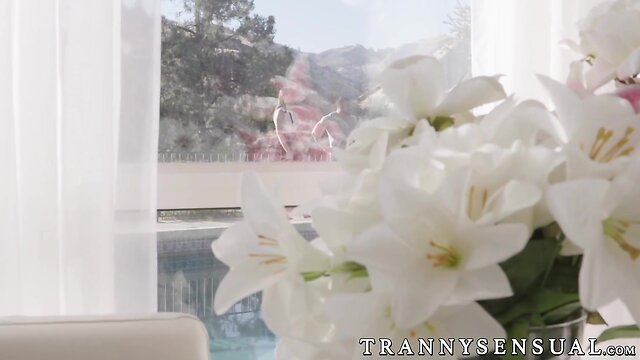 Wild Ride for Hot Hunk: Anal Fucking, Blowjobs, and Taking it in the Mouth