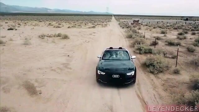 Leyendecker`s p. don't think trainer transvestite hd