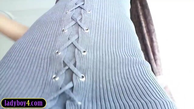 Amazing butt and hung asiatic tgirl cocksucking and anal sex