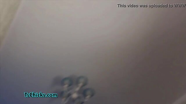 Massive schlong transsexual on webcam