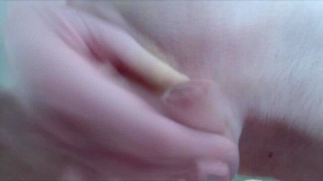 Femboy showing his boipussy and pretty prick close up