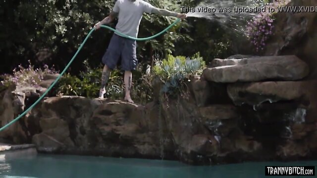 Classy blond she-male wife with massive juggs anal hammered