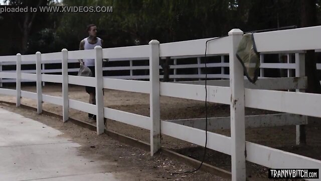 Classy blond she-male wife with massive juggs anal hammered