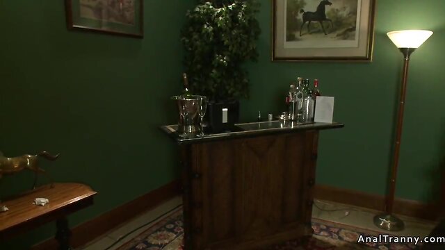 Politician is anal hammered by tran