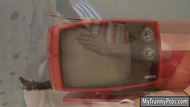 Adult shemale delia de lion anal screwed