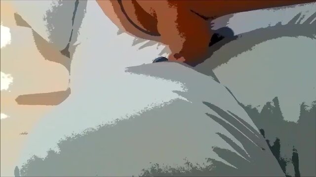 A sultry summer day !!!!