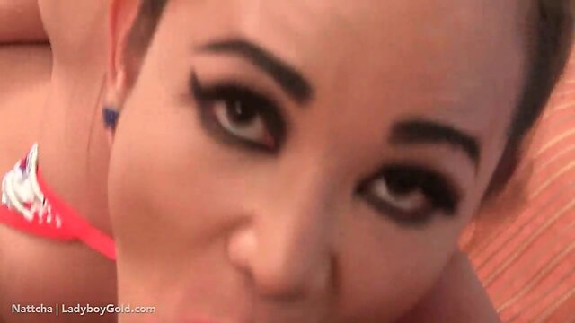 Ts nattcha fat dick blowing