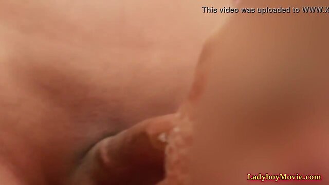 Crossdresser guy gives tgirl pan a cocksucking