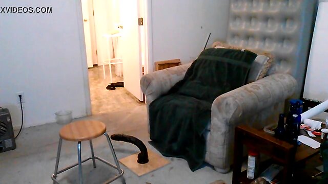 Gwennys new boyfriend