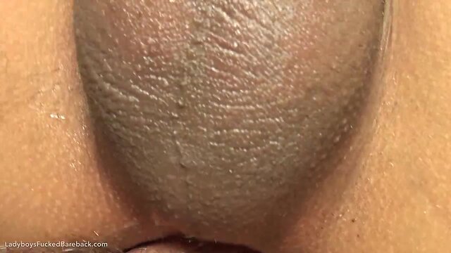 Sweet ts kim massive penis loving