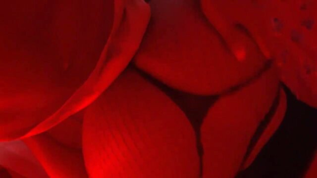 Slutty Black Blatina CDzinha Fills Her Latina Anal Hole with Pleasure