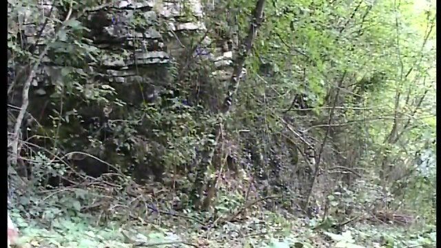 Ideal 3some with a wonderful transexual with enormous penis - (hd scene)