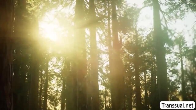 Sexy t-girl barebacked by stranger in woods