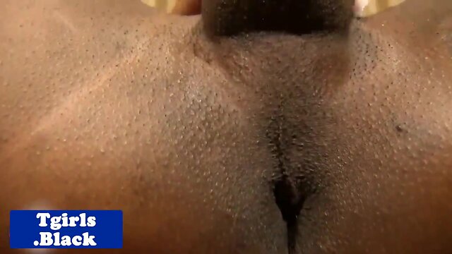 Purplehair black t-girl tugging