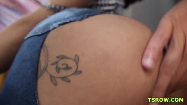 Transei sem camisinha e todos gostaram e gozaram gostoso, veja você também