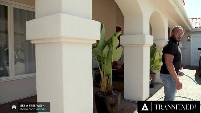 Passionate Ebony Shemale Brittney Kade Bareback Anal Fucks Her Wife, Babysitter, and Guy