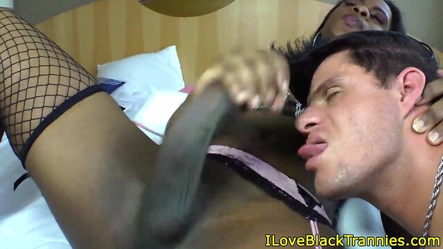 Nubian ts spunky face