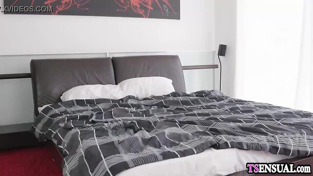 Silent she-male with a hard prick anal fucks her coworker