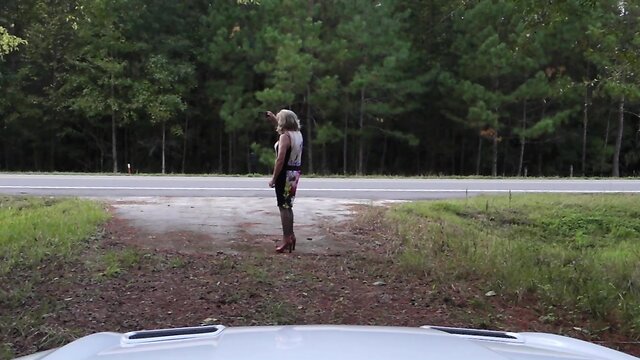 Samanthas roadtrip usa: day 2 - ocala, florida