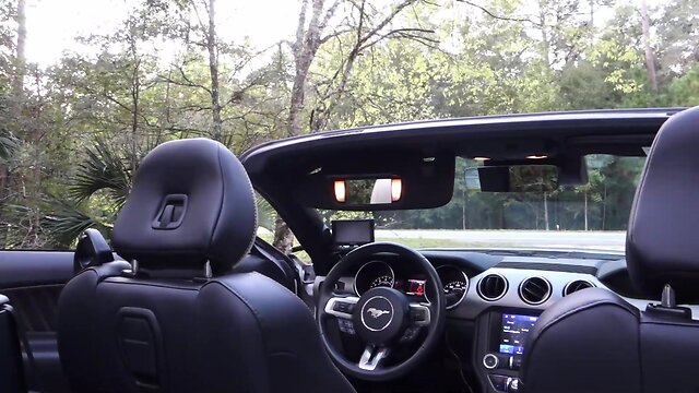 Samanthas roadtrip usa: day 2 - ocala, florida