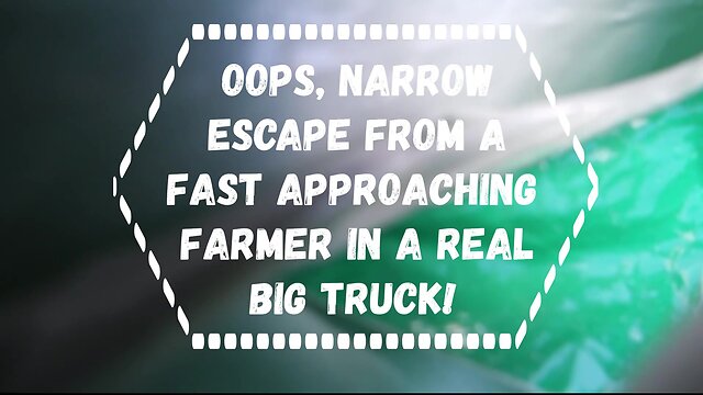 Samanthas roadtrip usa: day 2 - ocala, florida