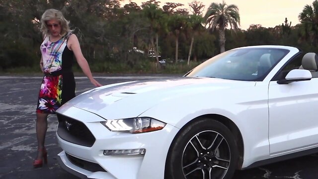 Samanthas roadtrip usa: day 2 - ocala, florida