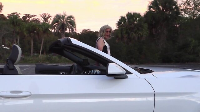 Samanthas roadtrip usa: day 2 - ocala, florida