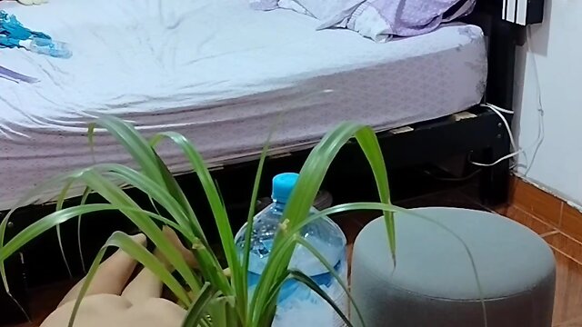 Destrucción del ejército de fans de mis videos - código 900644964