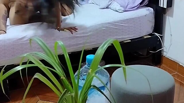 Destrucción del ejército de fans de mis videos - código 900644964