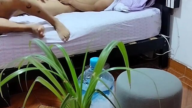 Destrucción del ejército de fans de mis videos - código 900644964