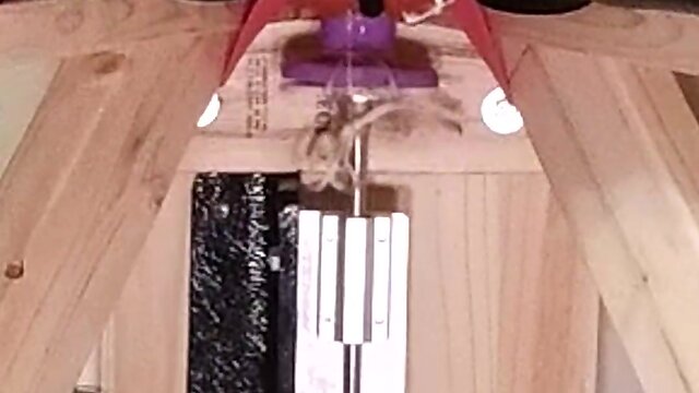 Cd maid strapped to fucking machine before breakfast