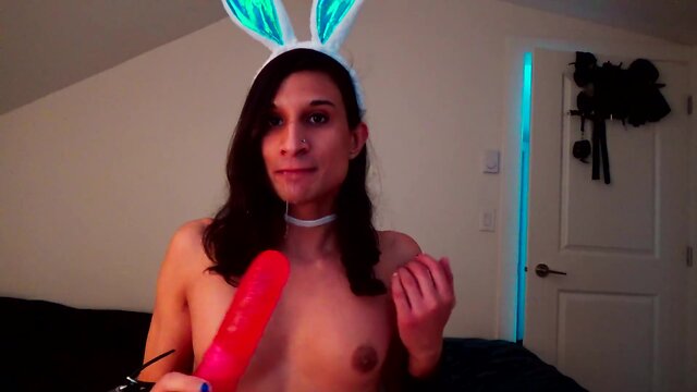 The easter bunnys toy carrot treat surprise
